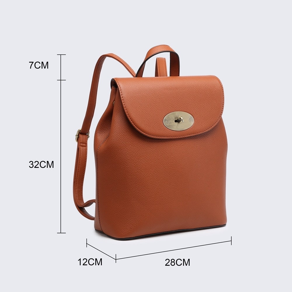The CLEO back pack