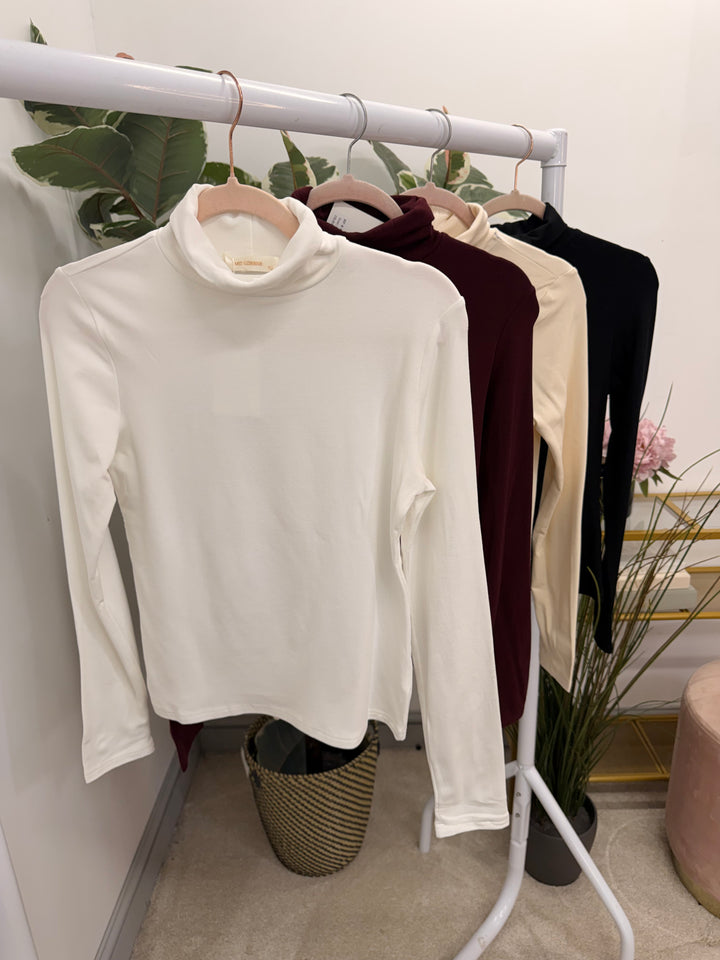 The IZZY fleece lined roll neck top - 4 colours