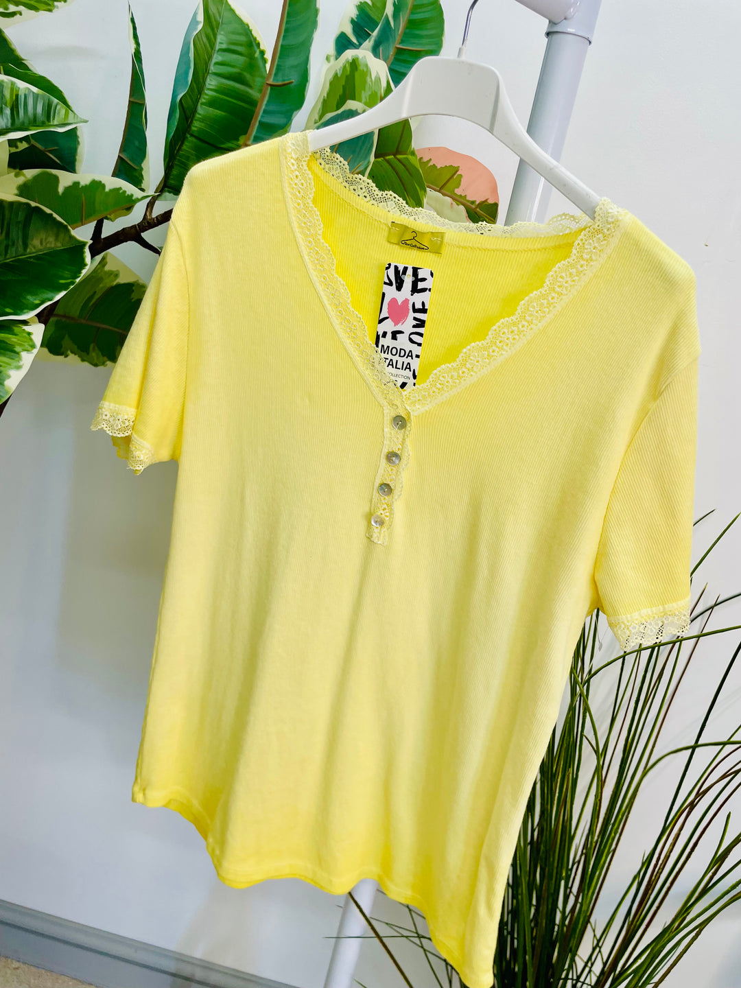 LADIES LACE EDGE STRETCH RIBBED T SHIRT WHITE, LEMON, PINK, BLUE & TAUPE