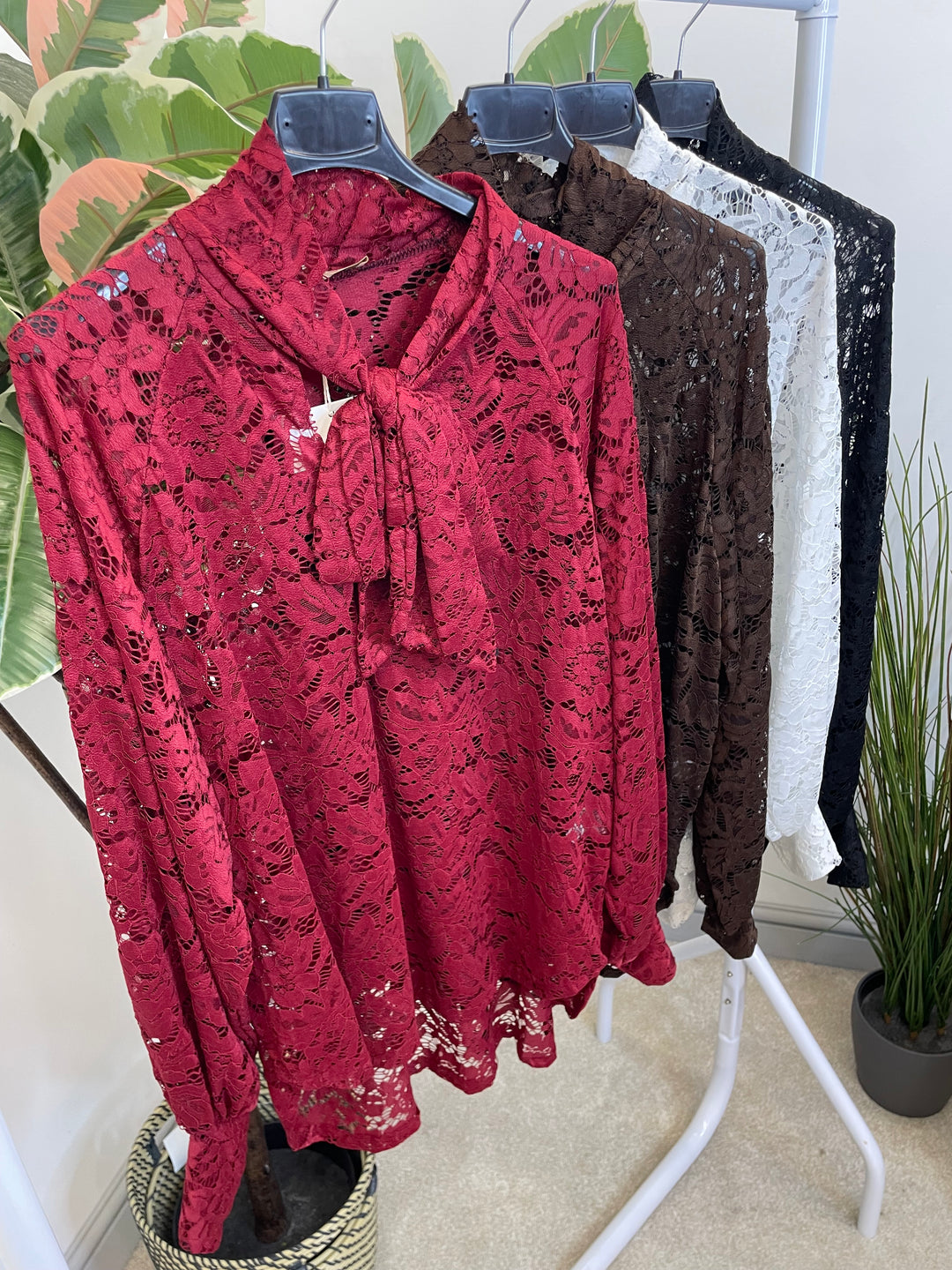 LADIES SHEER LACE BLOUSE SHIRT - WHITE, BLACK, BROWN & BERRY