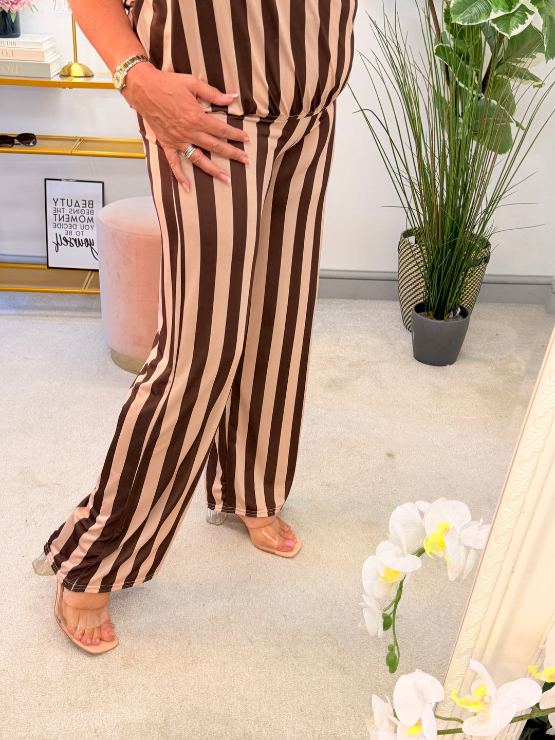 The JANIS Co ord