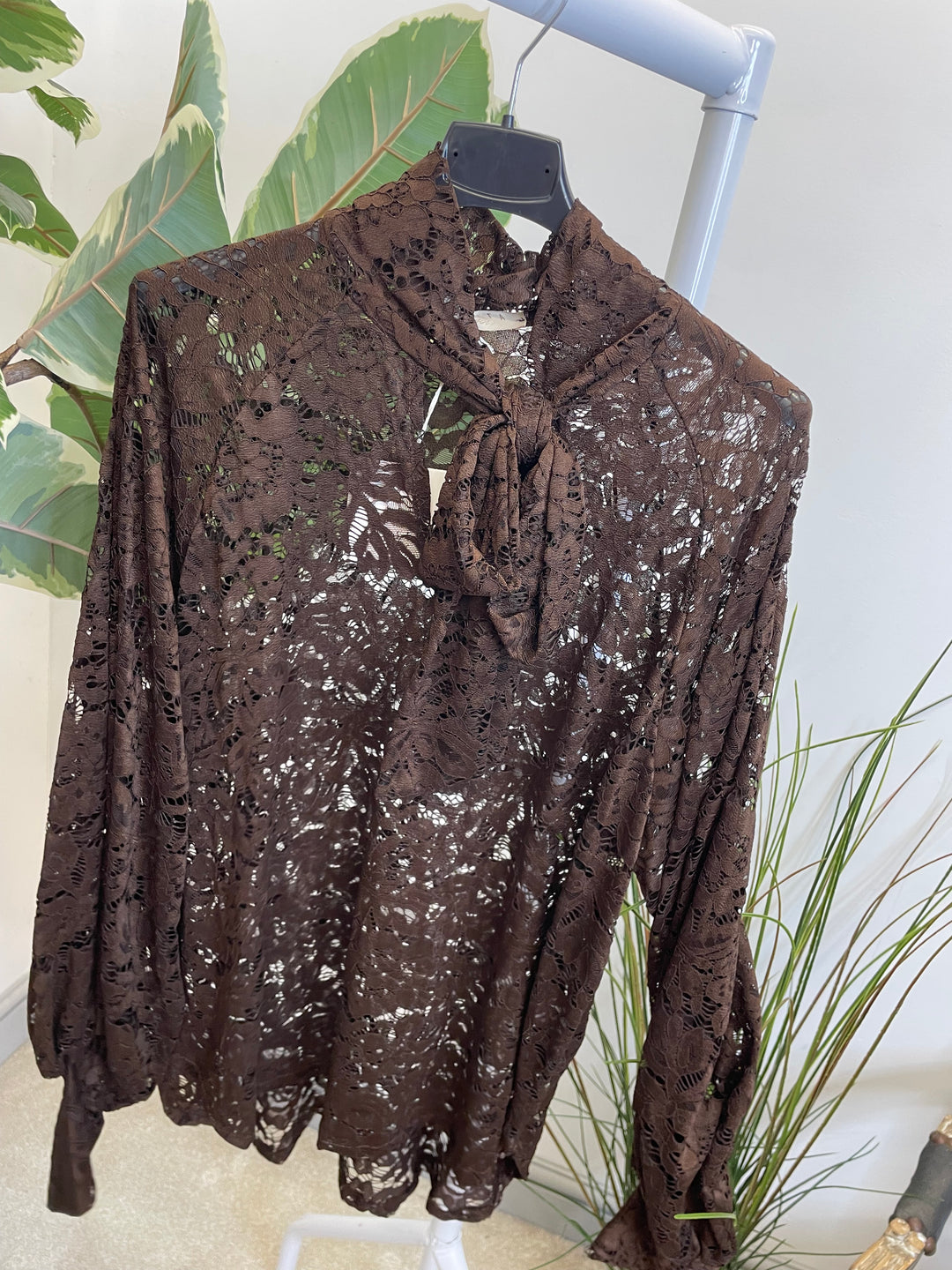 LADIES SHEER LACE BLOUSE SHIRT - WHITE, BLACK, BROWN & BERRY