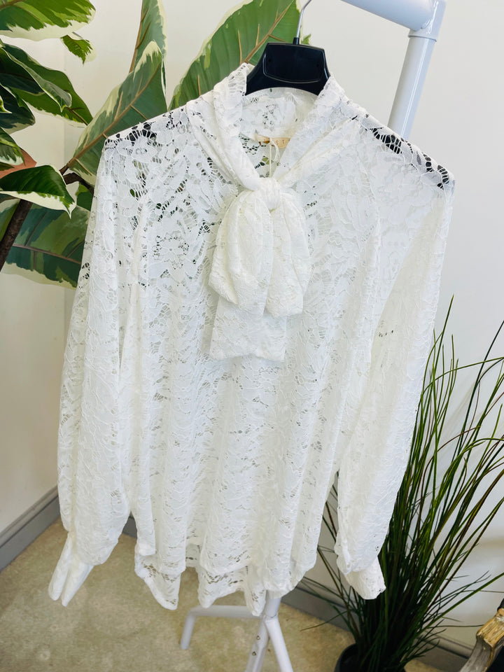 LADIES SHEER LACE BLOUSE SHIRT - WHITE, BLACK, BROWN & BERRY