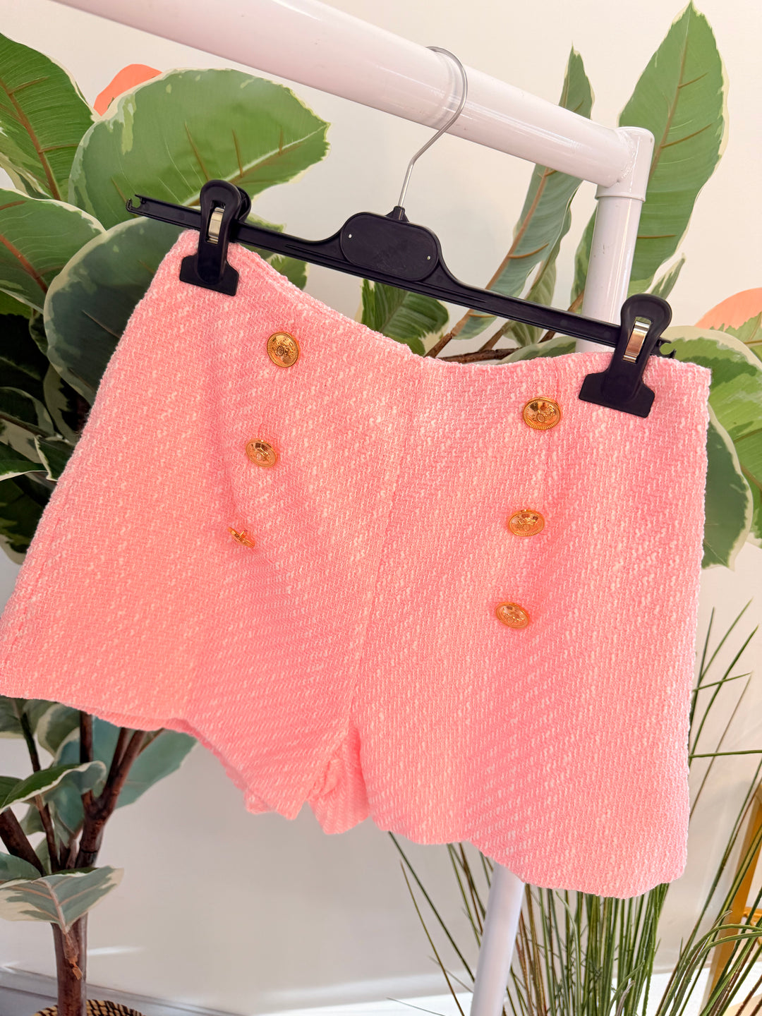 The PIP shorts - 2 colours