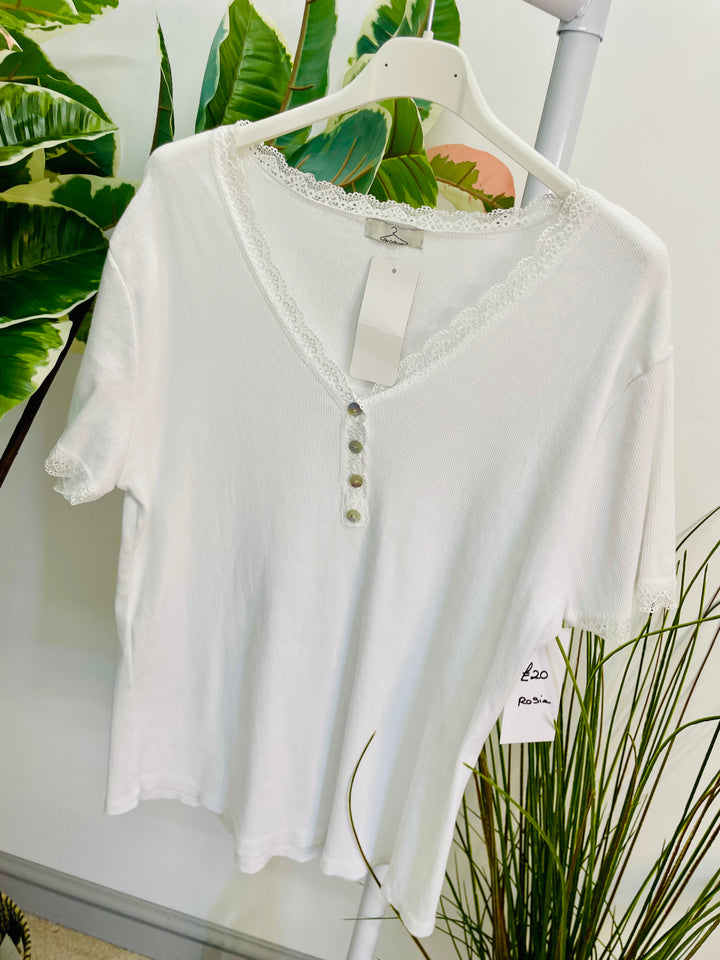 LADIES LACE EDGE STRETCH RIBBED T SHIRT WHITE, LEMON, PINK, BLUE & TAUPE