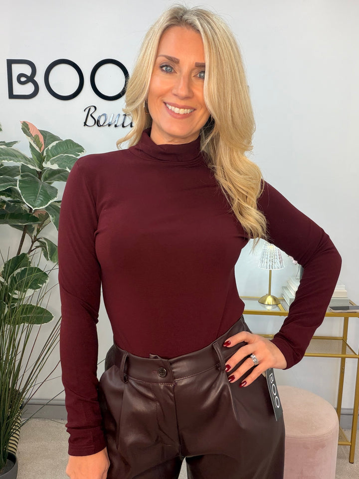 The IZZY fleece lined roll neck top - 4 colours