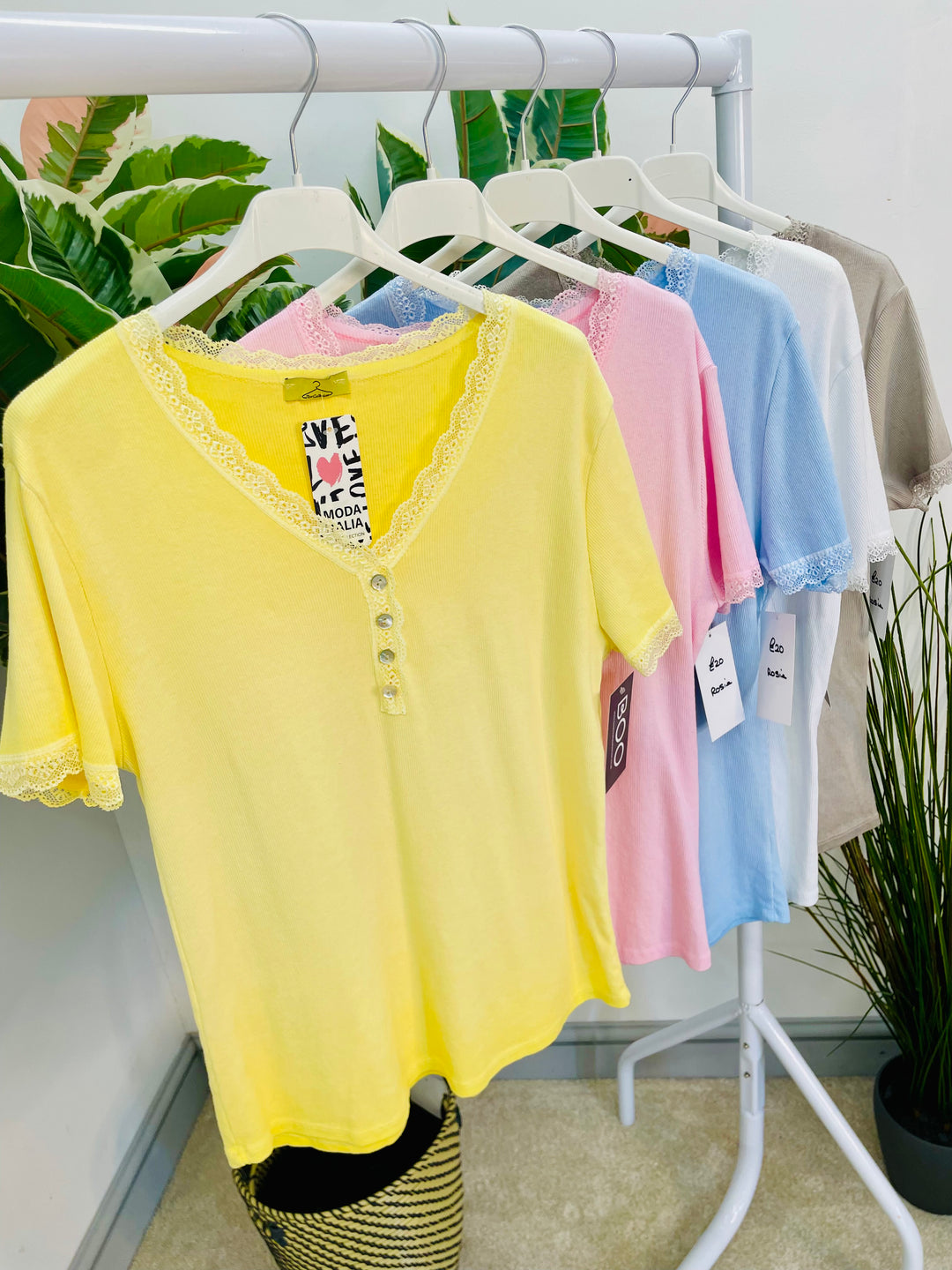 LADIES LACE EDGE STRETCH RIBBED T SHIRT WHITE, LEMON, PINK, BLUE & TAUPE
