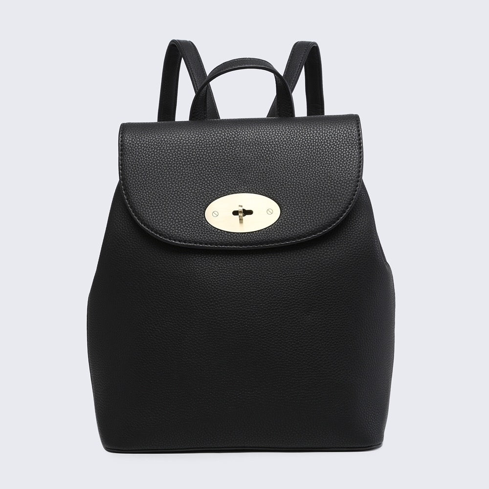 The CLEO back pack