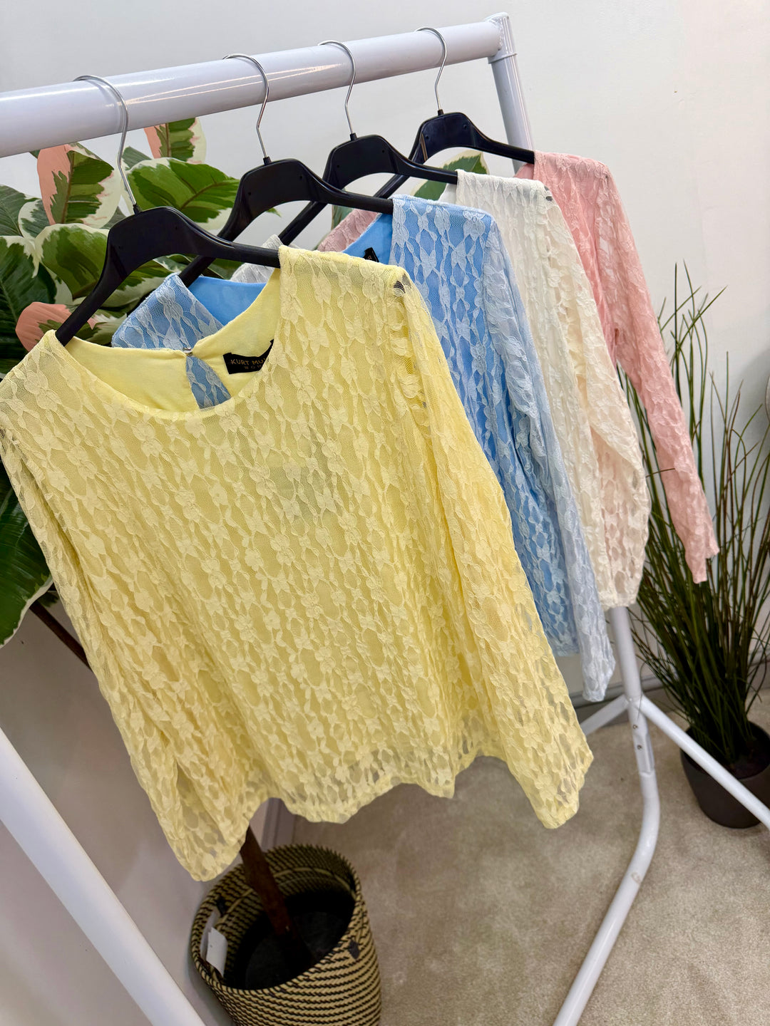 LADIES FASHION LACY LONG SLEEVE TOP - LEMON, WHITE, BLUE & PINK
